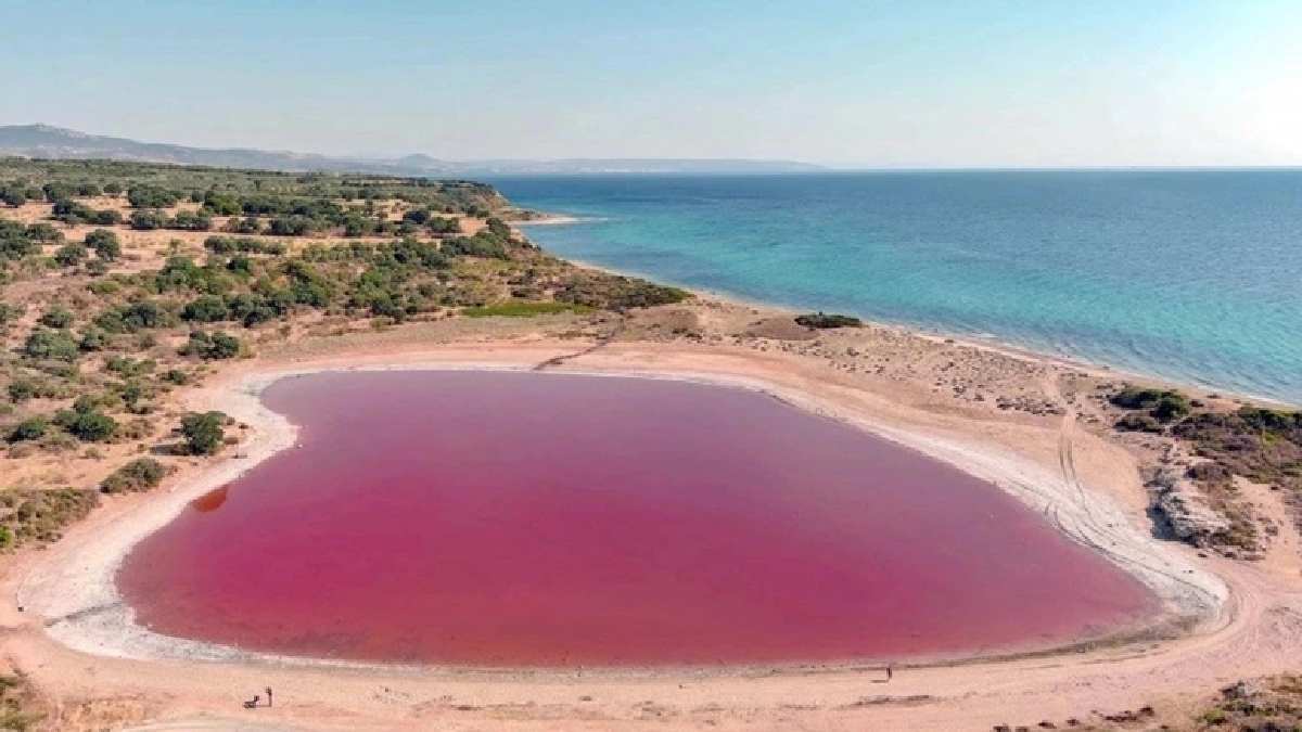 Dünyada sadece 8 tane bulunuyor biri de Türkiye’de yer alıyor! Herkes bu güzelliği görmek için sıra bekliyor