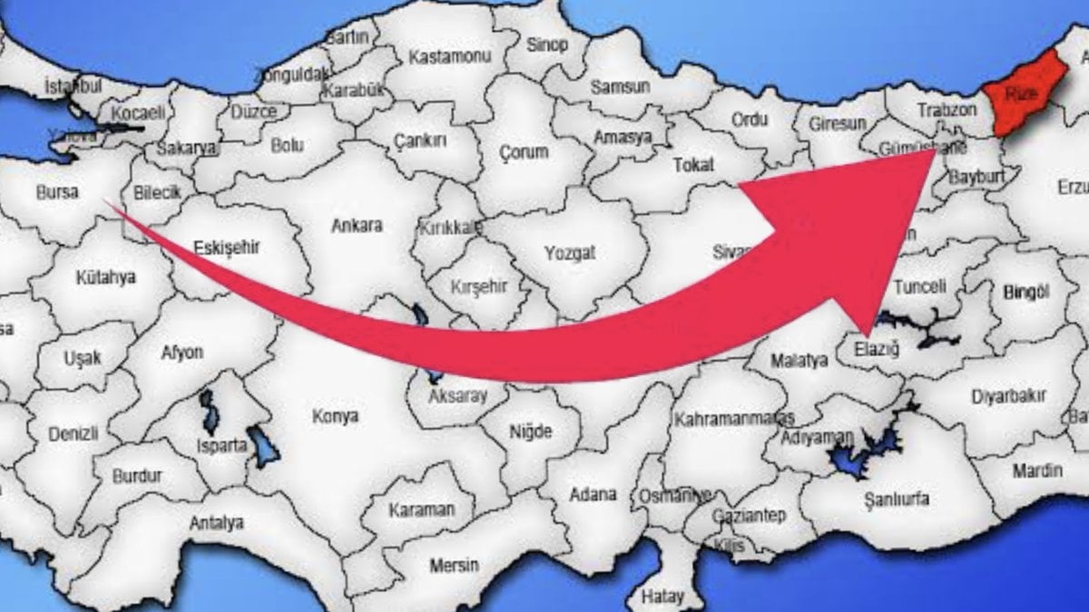 İngilizlerin süper meyvesi: Sadece Rize ve Bursa’da yetişiyor, ömrü 10 yıl uzatıyormuş