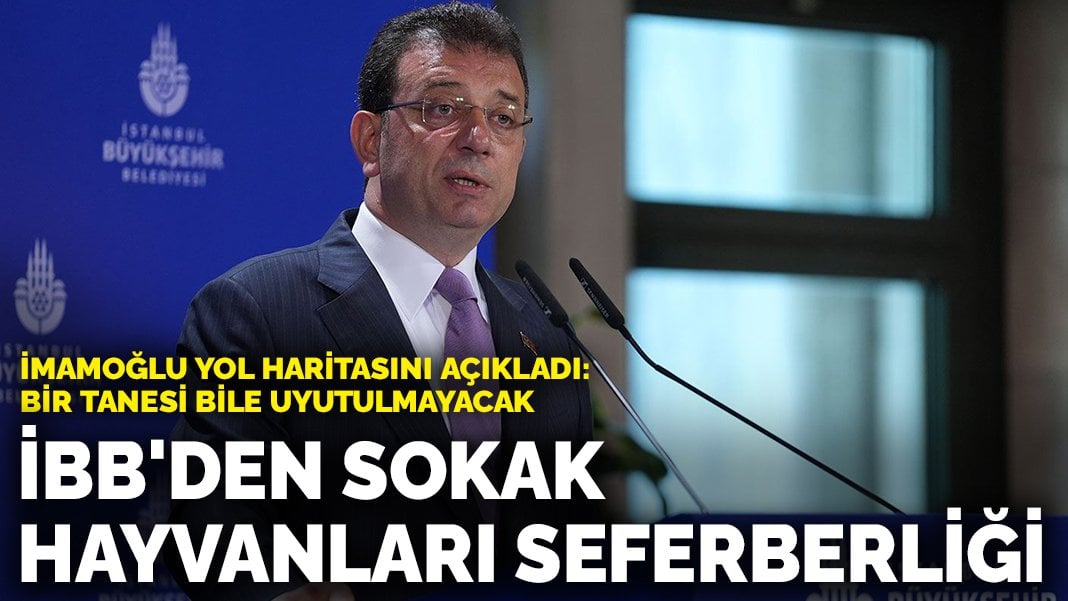 İBB’den sokak hayvanları seferberliği… İmamoğlu yol haritasını açıkladı: Bir tanesi bile uyutulmayacak