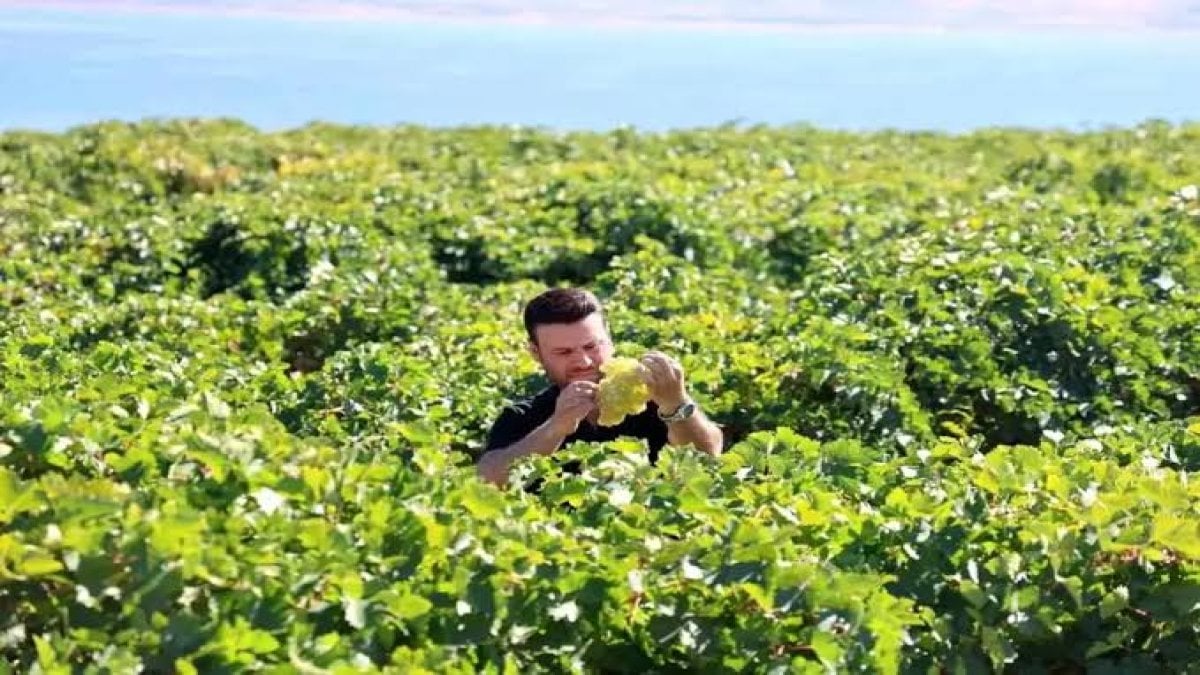 Mühendisliği elinin tersiyle itti bu işe girdi: Şimdi paraya para demiyor