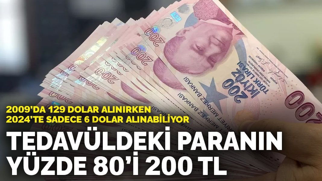 Tedavüldeki paranın yüzde 80’i 200 TL: 2009’da 129 dolar alınırken 2024’te sadece 6 dolar alınabiliyor