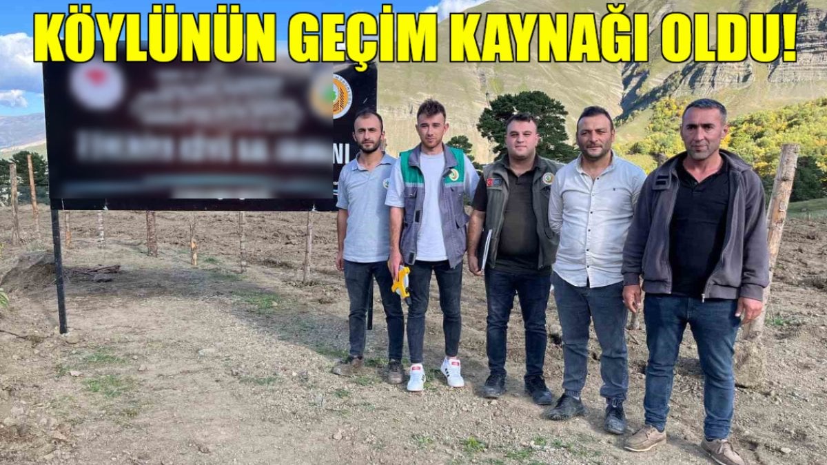 Artvin’de bulundu, köyün geçim kaynağı oldu! Ününü duyan sipariş veriyor: Bilinenden çok farklı