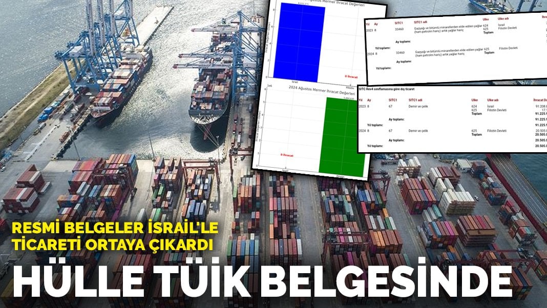 Hülle TÜİK belgesinde