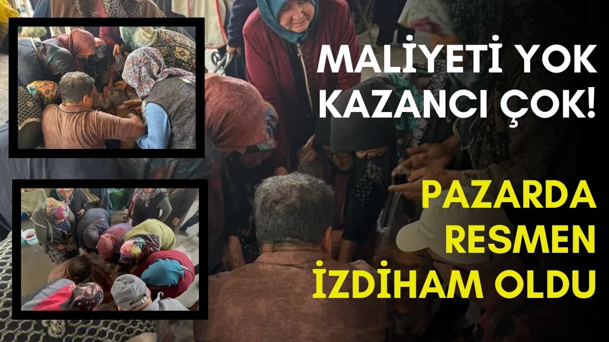 Bedava toplayıp pazarda sattılar, resmen izdiham çıktı! Tezgahta tozu bile kalmadı, toplayan köşeyi dönüyor