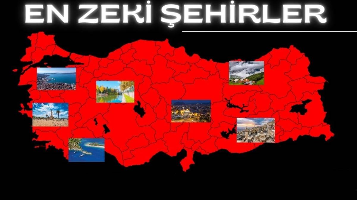 Türkiye’nin en zeki şehirleri belli oldu! IQ oranları Einstein ile yarışıyor, İlk sırada Kayseri’yi göremeyenler şaşırdı