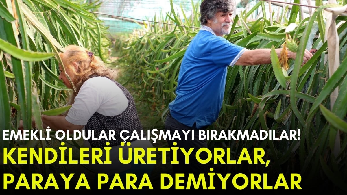 Emekli maaşına ek gelir olsun diye başladılar, işler yürüdü gitti! Emekli öğretmen çift şimdi paraya para demiyor