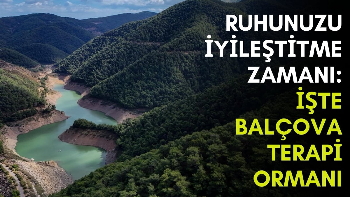 Psikolojisi bozulan doktora değil buraya koşacak! Türkiye’nin ilk terapi ormanı… Yüzü asık giren pamuk olup çıkıyor