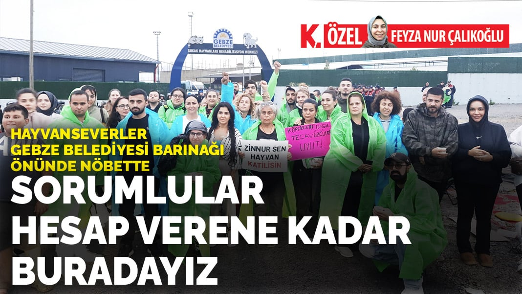 Hayvanseverler Gebze Belediyesi barınağı önünde nöbette: Sorumlular hesap verene kadar burdayız