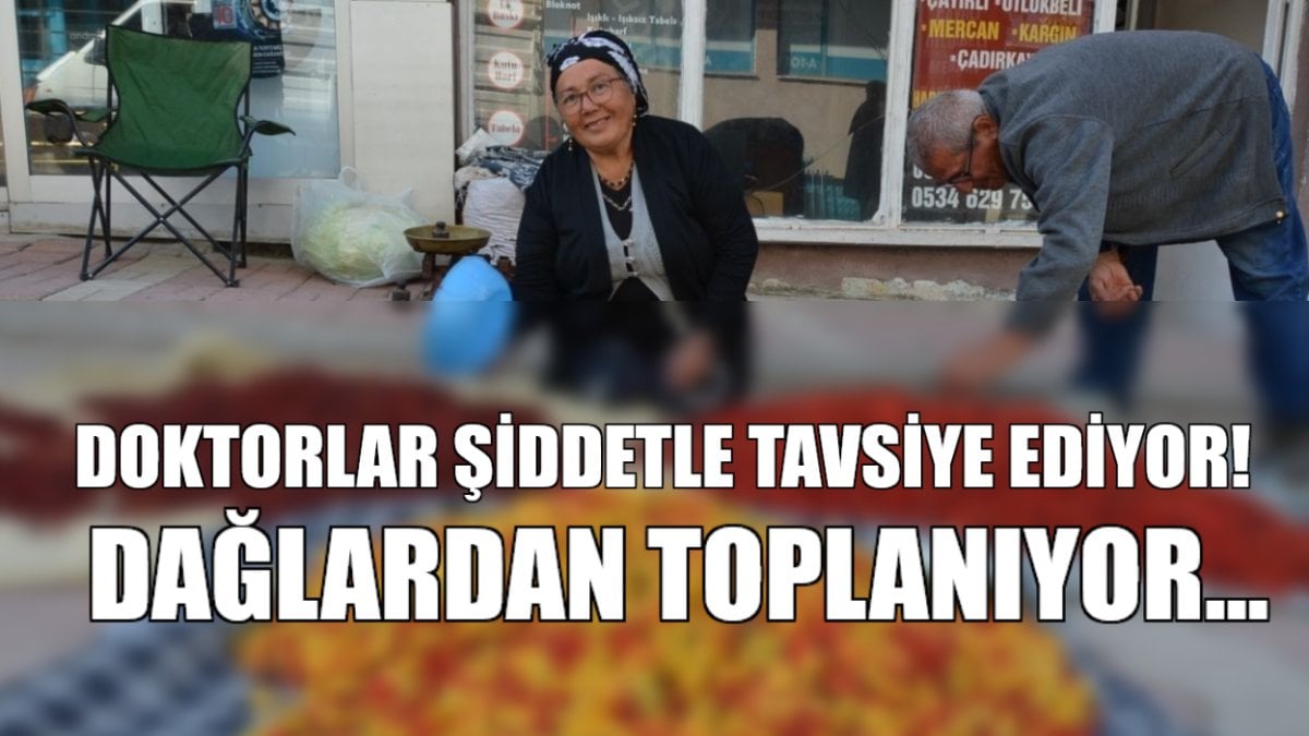 Doktorlar reçeteye yazıyor. Dağlardan toplanarak sirkesi marmelatı yapılarak tüketilen ve gelir kapısı açan meyvenin kilosu…