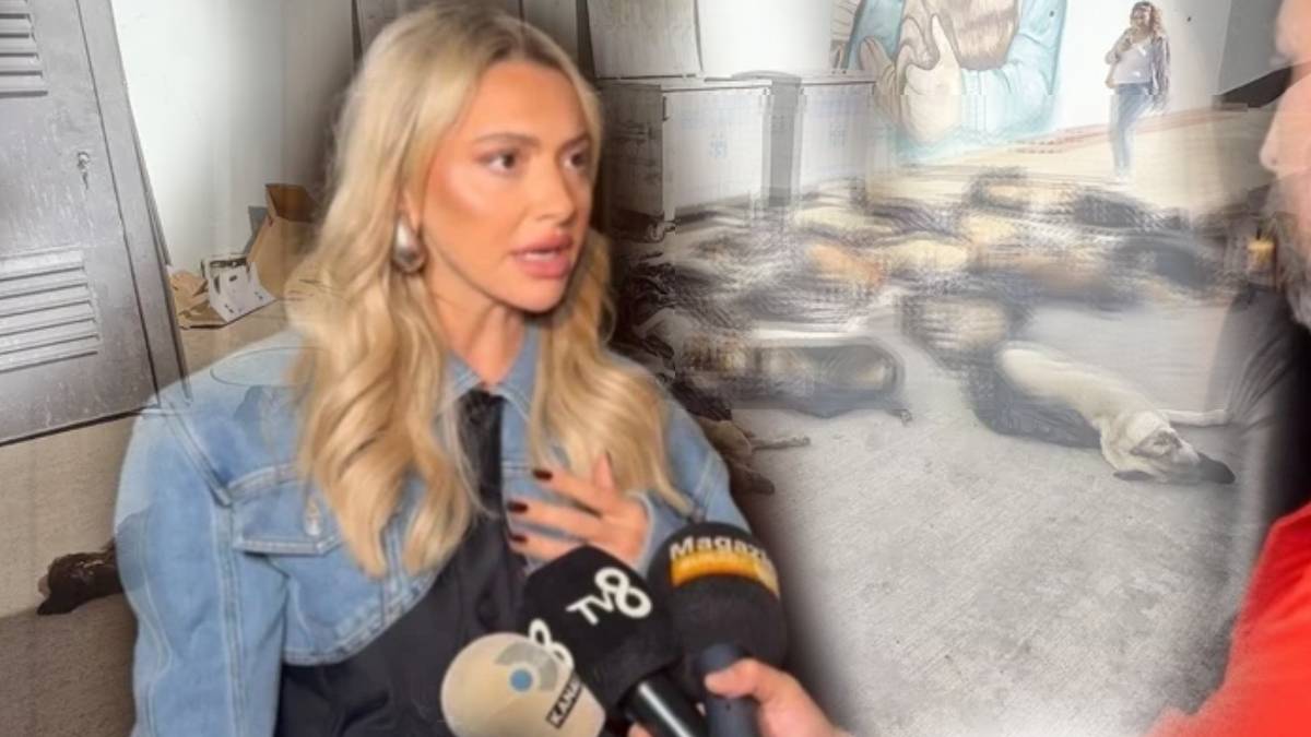 Hadise’den hayvan katliamı tepkisi: Allah belalarını versin