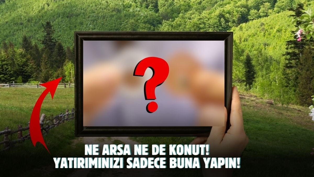 Arsa ve konut yerine bunu alın! Uzmanlar en kârlı yatırımı açıkladı: 3 ay sonra fiyatlar fırlayacak