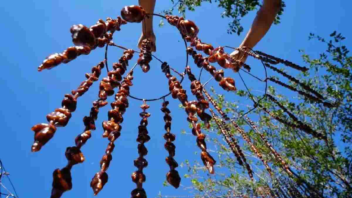 Eylül’de hasat başlıyor, gelenekten ticarete üretim başlıyor! Evleri için yaptıkları ürün resmen yok satıyor