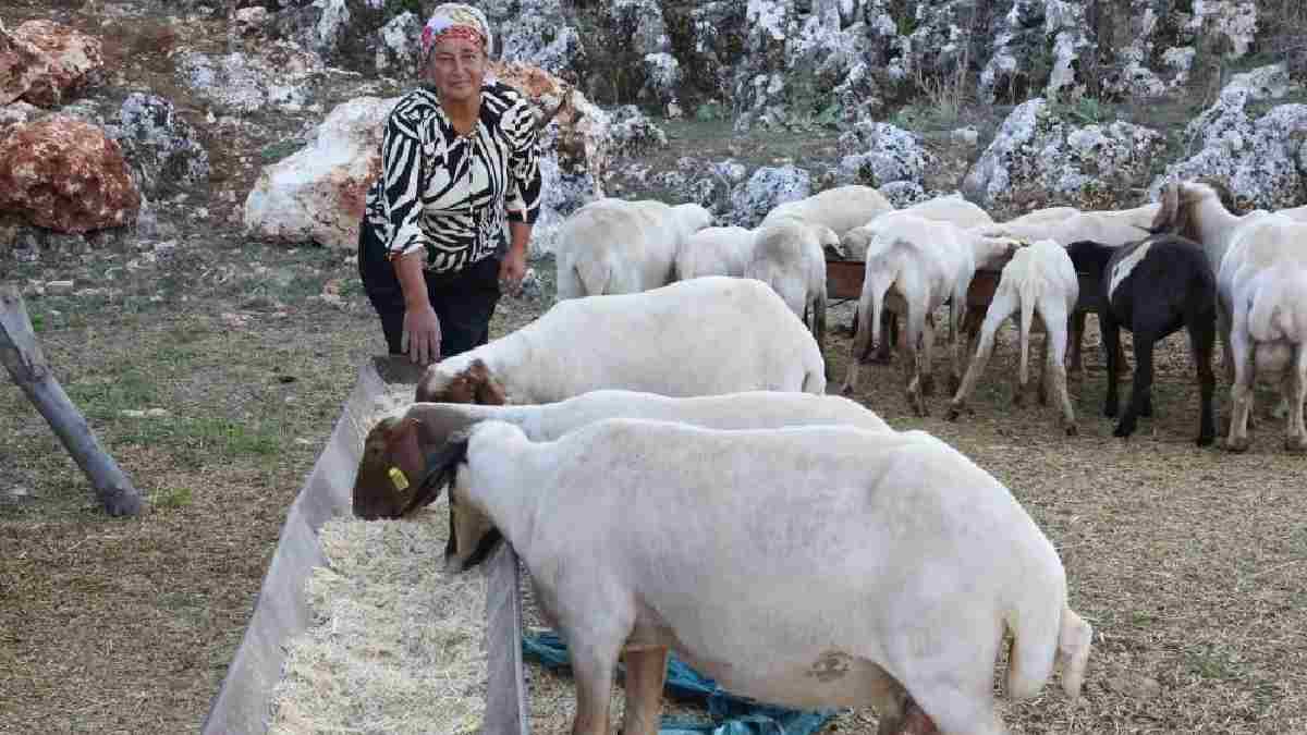 Bismillah deyip başladı ev, araba, bahçe sahibi oldu! Mahallede bu işi yapan tek kadın: Devlet desteğiyle işi büyüttü