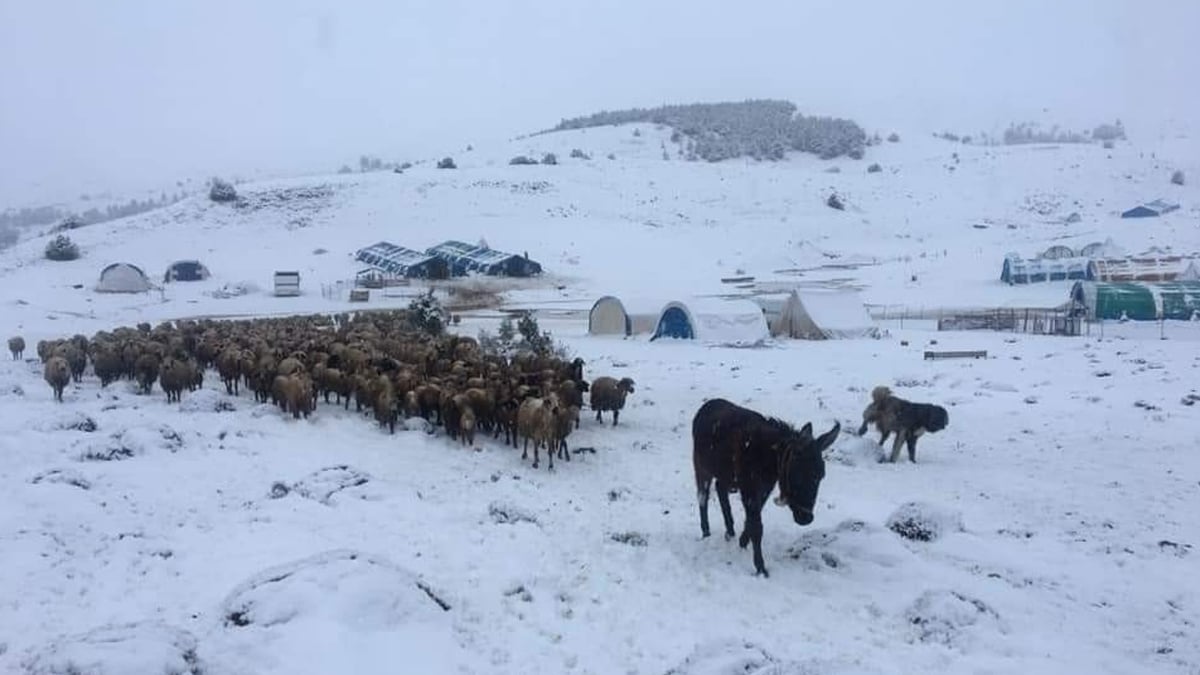 Bazı şehirlere yılın ilk karı düştü: Yayladan köye göç başladı