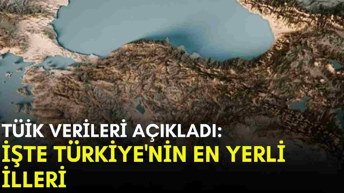 Türkiye’nin en yerli illeri açıklandı! Ankara’da Ankaralı, İstanbul’da İstanbullu yok… Sonuçlar şaşırttı