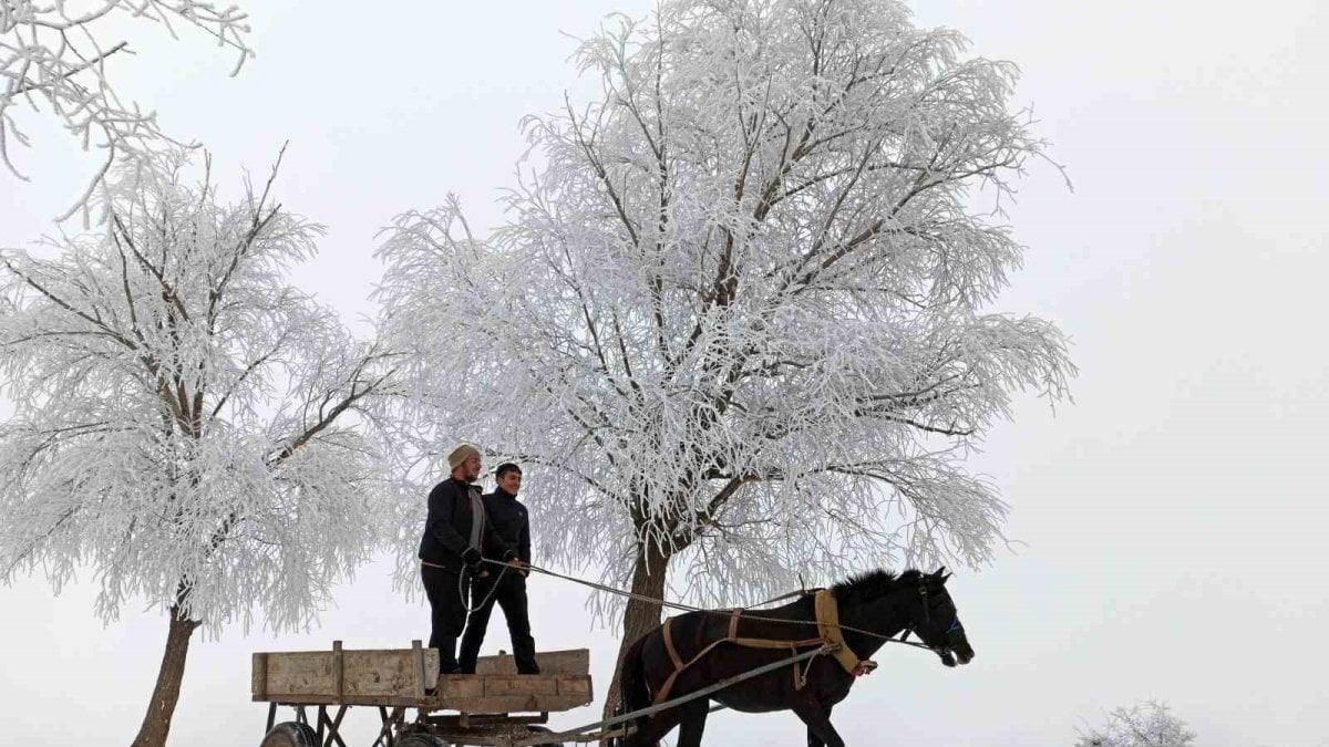 Türkiye’nin en soğuk yeri belli oldu: -11 derece