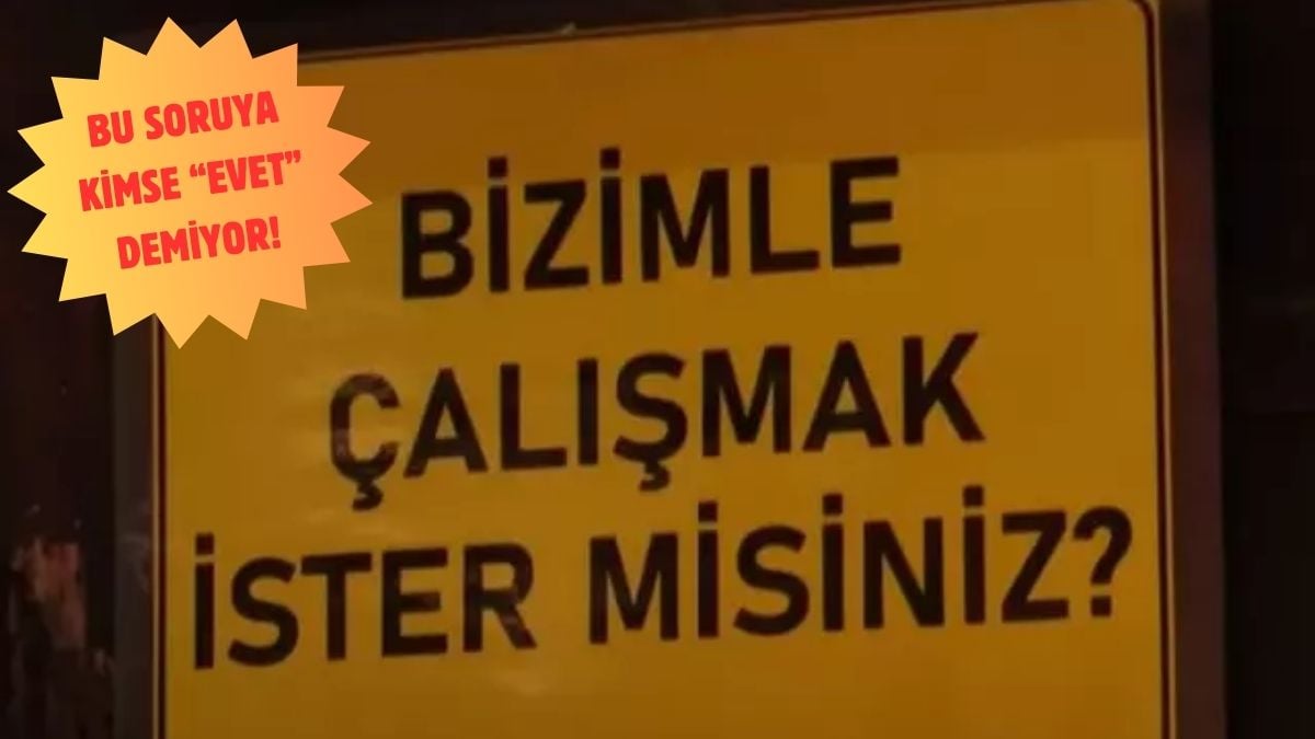 Bu mesleklerde asılan ilan kalkmıyor! Mühendisten çok kazandırıyor ama beğenilmiyor: 10 yıl içinde hepsi tarihe karışacak