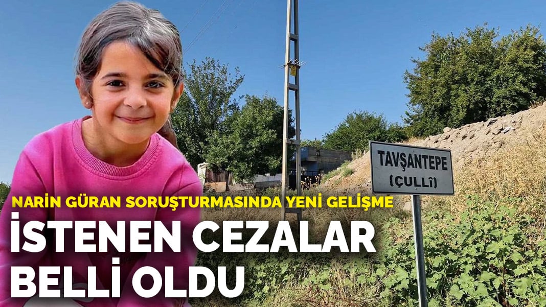 Narin Güran soruşturmasında yeni gelişme: İstenen ceza belli oldu