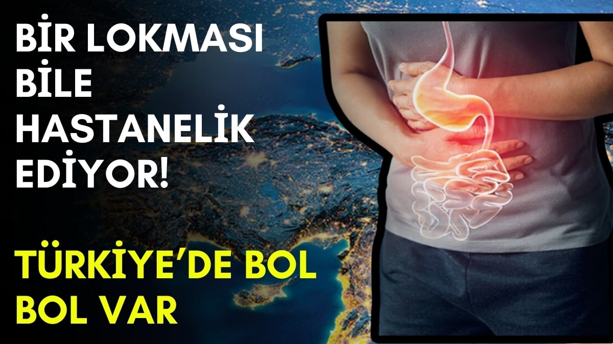 Türkiye’de bol bol bulunuyor, bir lokması hastanelik ediyor! Dünyanın en zehirli balığı: Özellikle kış aylarında dikkat