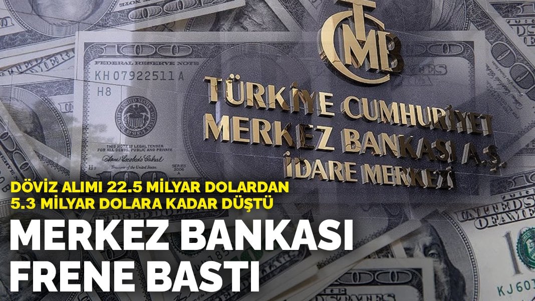 Merkez Bankası dövizde frene bastı: Döviz alımı 22.5 milyar dolardan 5.3 milyar dolara kadar düştü