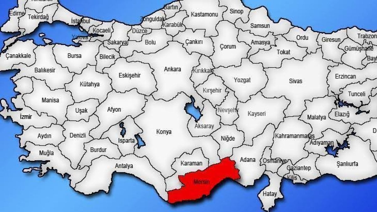 Bu meyveyi bir Çinliler bir Mersinliler biliyor: Hazine kadar değerli, organları yeniliyor