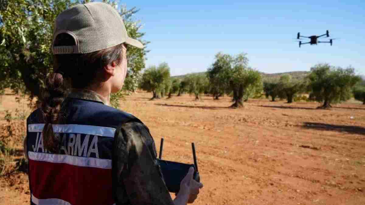 Jandarma koruyor onlar hasat ediyor! En değerli üründe en özel mesai: Bir tanesi bile ziyan olmamalı