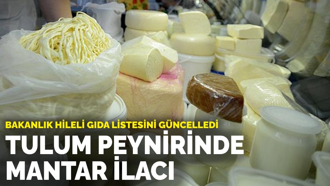 Bakanlık hileli gıda listesini güncelledi: Tulum peynirinde mantar ilacı