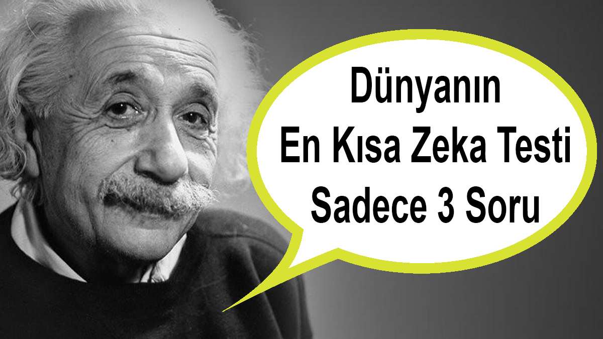 Dünyanın en zekileri bu testte buluştu! 3 soruda Harvard’dakilerden zeki olduğunuzu kanıtlayın