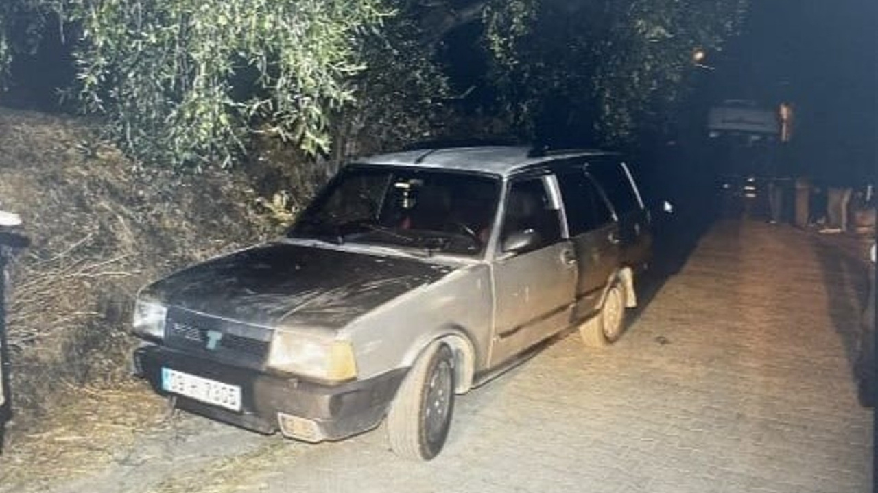 Ağaca Çarpan Otomobildeki 1 Kişi Hayatını Kaybetti, 1 Kişi Yaralandı