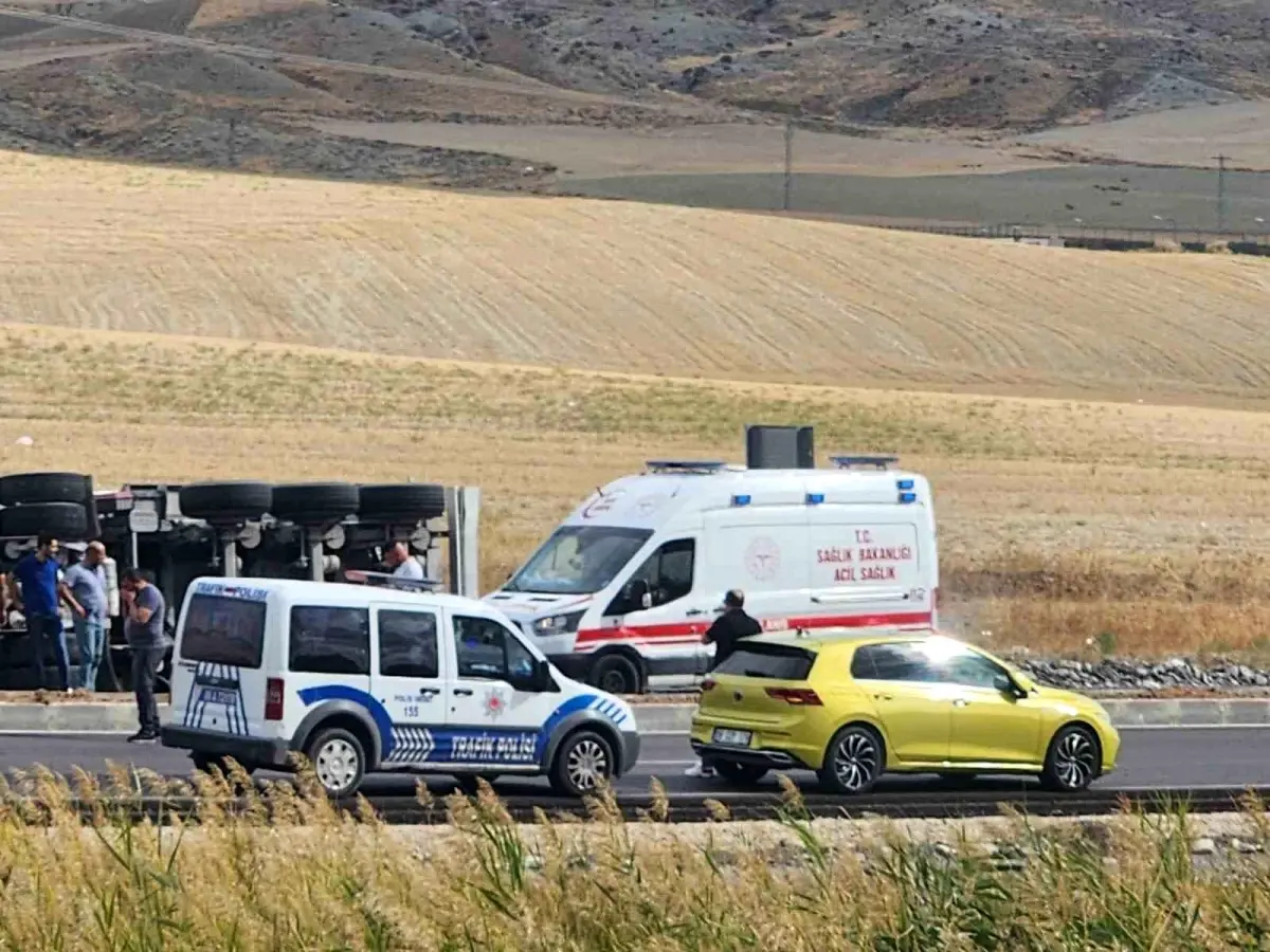 Haymana’da Kuzu Yüklü Tır Devrildi, Çok Sayıda Hayvan Telef Oldu