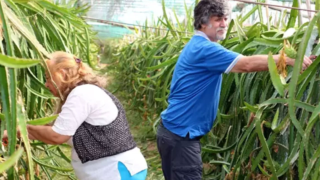 Balkonda Hobi Olarak Üretmeye Başlamışlardı: Yurt Dışı Pazarına Açıldı Paraya Para Demiyorlar