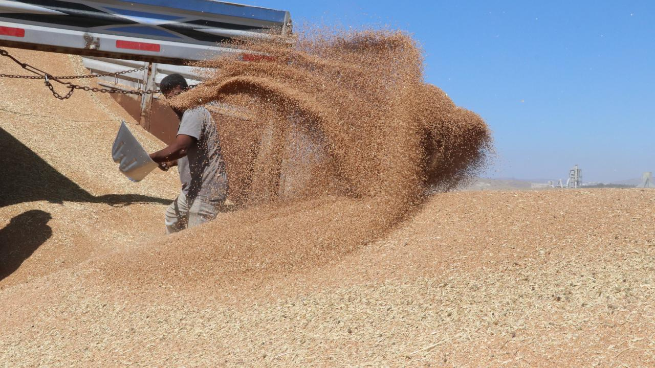 Hububat ve Bakliyatta İhracat 9 Milyar Dolara Yaklaştı