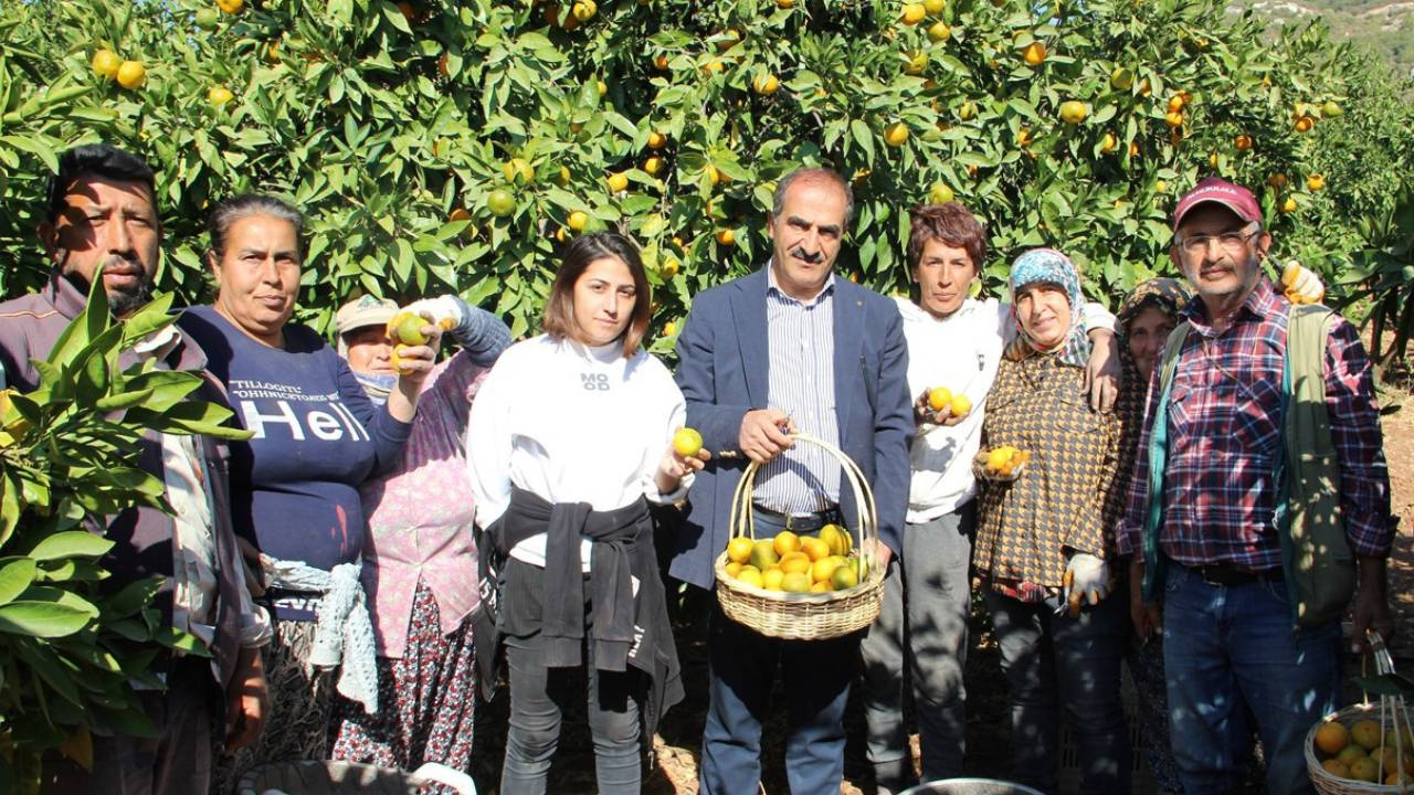 İzmir’de Yüz Güldüren Hasat: Rekor Verim Geldi Hedef 600 Milyon Dolar