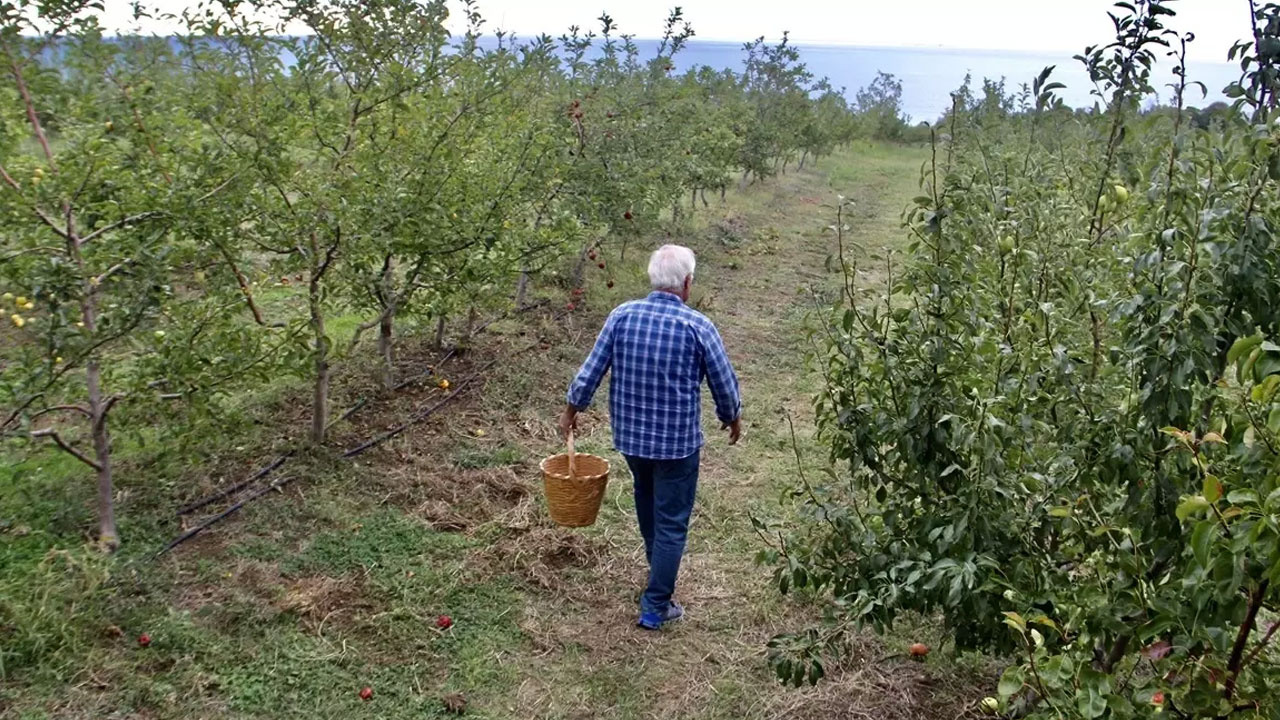 Komşu Anlaşmazlığı Zengin Etti: Atıl Arazide 40 Ton Üretiyor