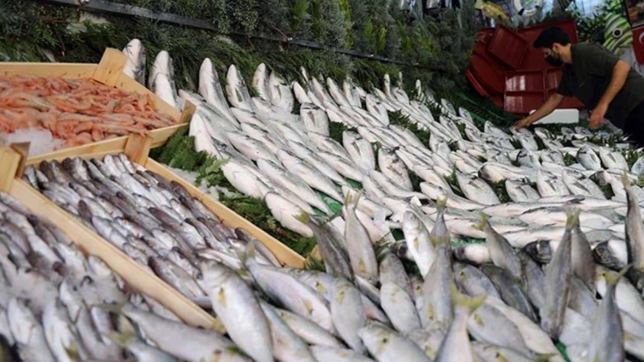 Ne Çinekop Ne İstavrit Ne de Palamut! Sağlığa En Yararlı 3 Balık Bakın Hangisiymiş