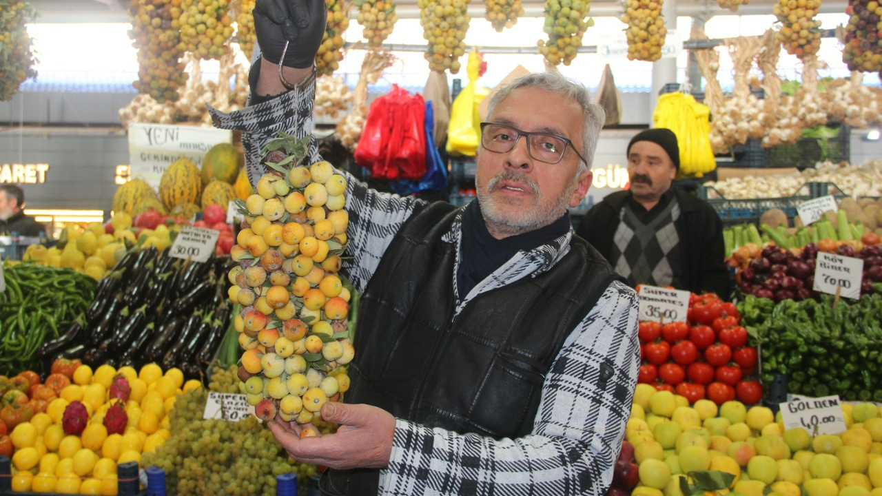 Sadece İki Şehirde Yetişiyor, İki Senede Bir Meyve Veriyor… Sağlığa Faydası Saymakla Bitmiyor: ‘Görenler Ne Olduğunu Soruyor, Herkes Bilmiyor’