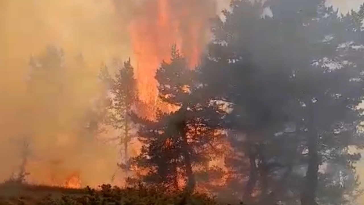 Muğla’da 2 Hektar Makilik Alanda Yangın