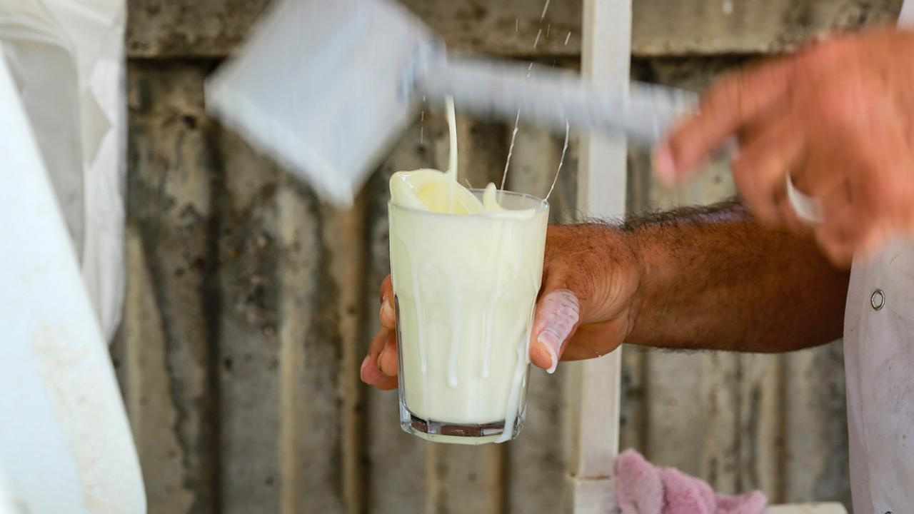 TÜİK Duyurdu: Tereyağı ve Ayran Üretiminde Rekor