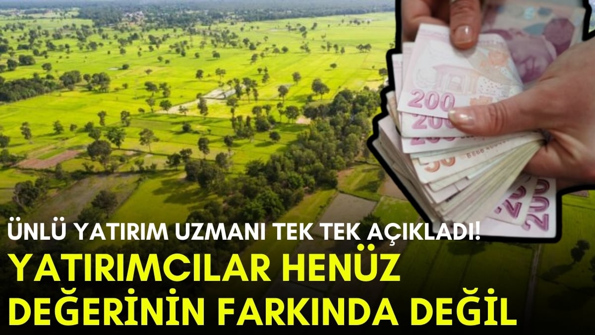 Yatırımcılar hala değerini anlamadı! Şimdi almayan ilerde dizlerini dövecek: Ünlü yatırım uzmanı anlattı