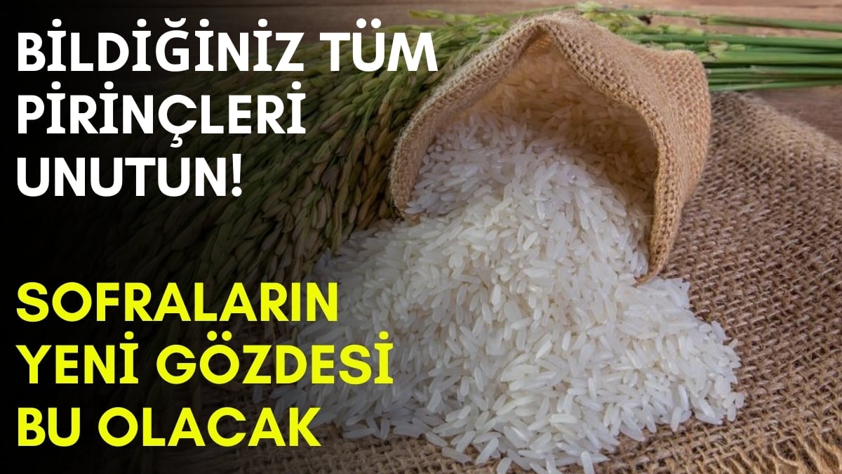 Ne Basmati ne Osmancık! Türkiye’nin en meşhur pirinci Karadeniz’den çıkıyor: Uzun süre dursa yine bozulmuyor