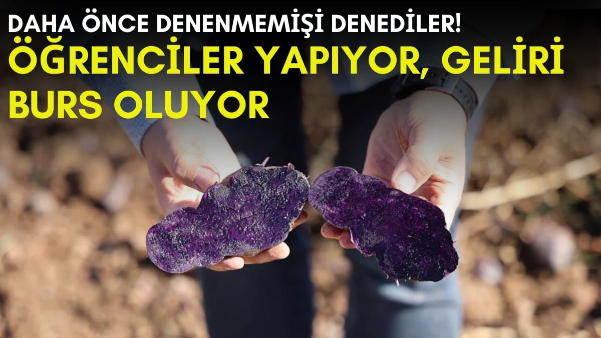 Öğrenciler ekiyor, geliri burs oluyor! Daha önce kimse yetiştirmeyi denememiş: Kalsiyum, magnezyum ve potasyum deposu