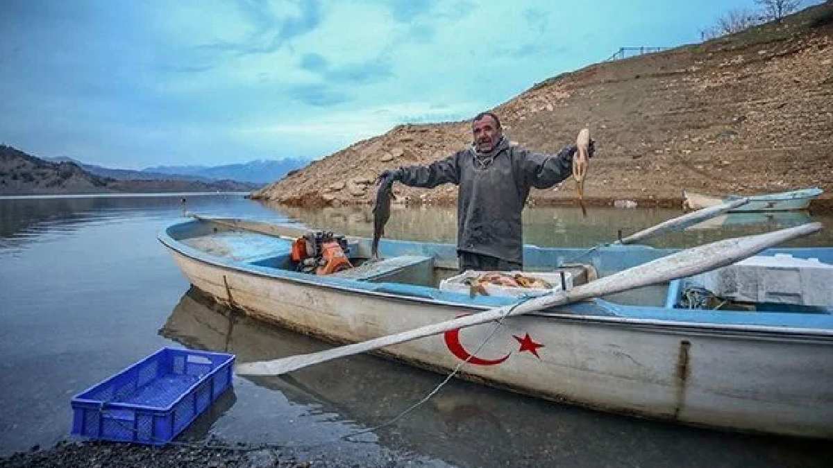 Denizi yok ama 54 ülkeye balık ihraç ediyor! Depremzede balıkçılardan 30 milyonluk getiri! Her sofrada yer alıyor