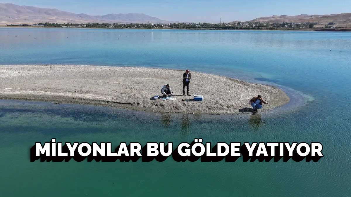 Türkiye’nin en büyük gölünde milyar dolarlık keşif! Yıllardır gölün derinliklerinde yatıyormuş! 3 farklı noktada…