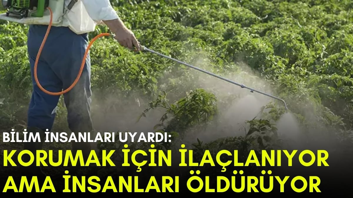 Tarımsal ilaçlamada şok eden bulgular! Herkes zararsız olduğunu düşünüyordu ama kanser yapıyor: Bilim insanları ortaya koydu