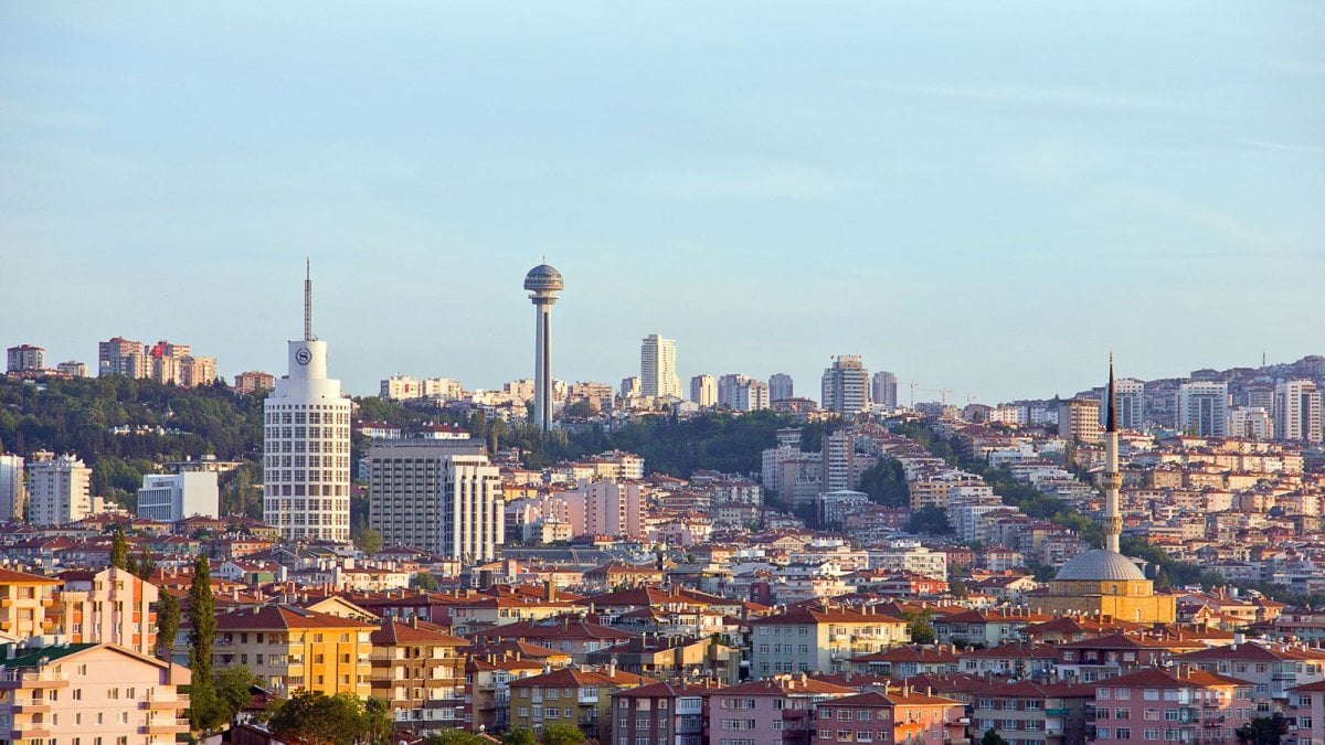 Ankaralılar ona ‘Yeşil altın’ diyor: Marketlerde satılıyor, şimdi dünya peşinde