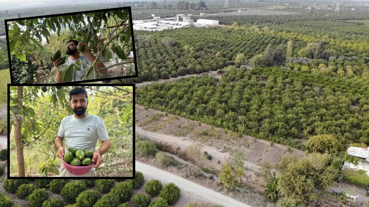 Deprem bölgesinde yetiştiriyor, Ekimde hasat edip soğuk havada saklıyor! Marketin 40 TL’ye sattığını 20 TL’den veriyor