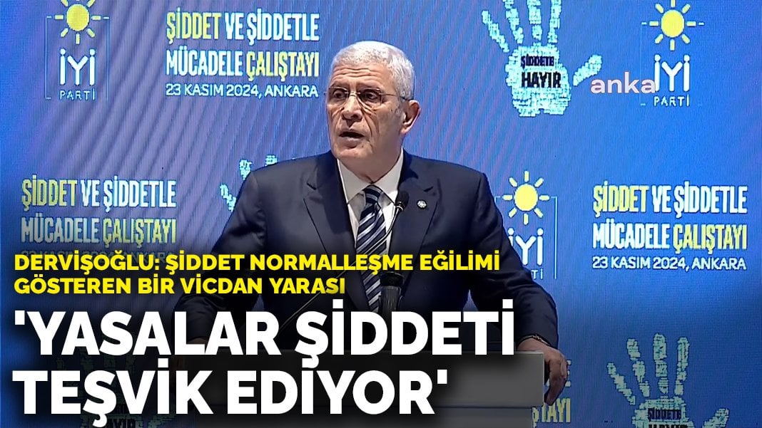 Dervişoğlu: Yasalar şiddeti teşvik ediyor