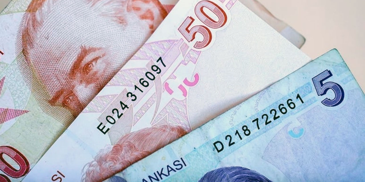 Yeni 5 ve 50 TL’lik banknotlar tedavüle verildi