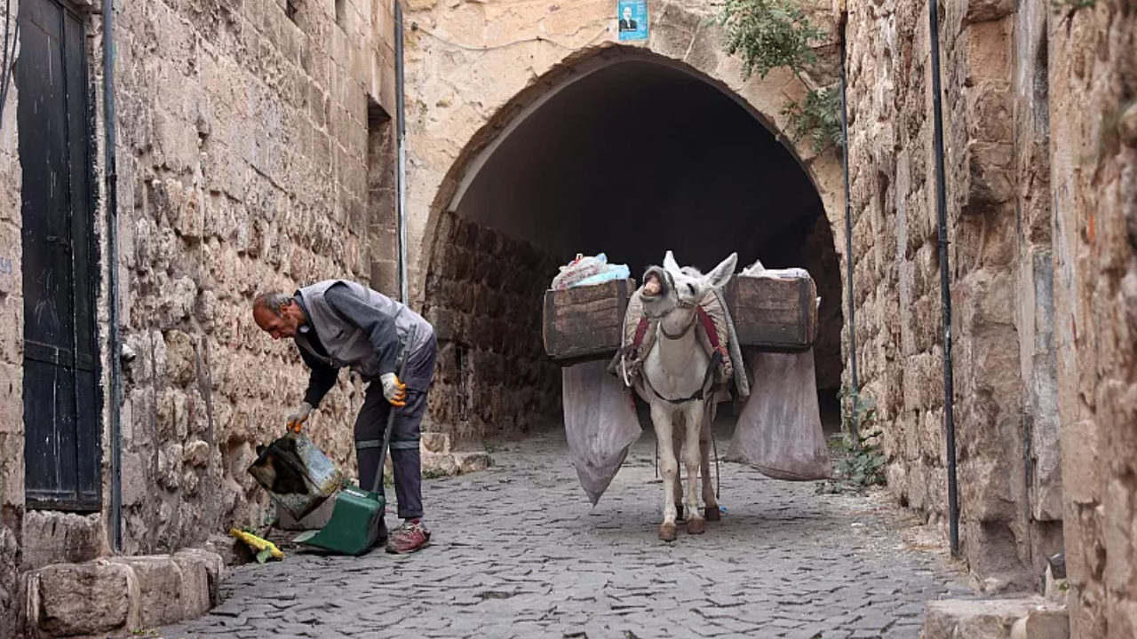 HAYTAP ile Protokol İmzalandı: Mardin’de ‘Çalışan Eşekler’ Emekliye Ayrılıyor