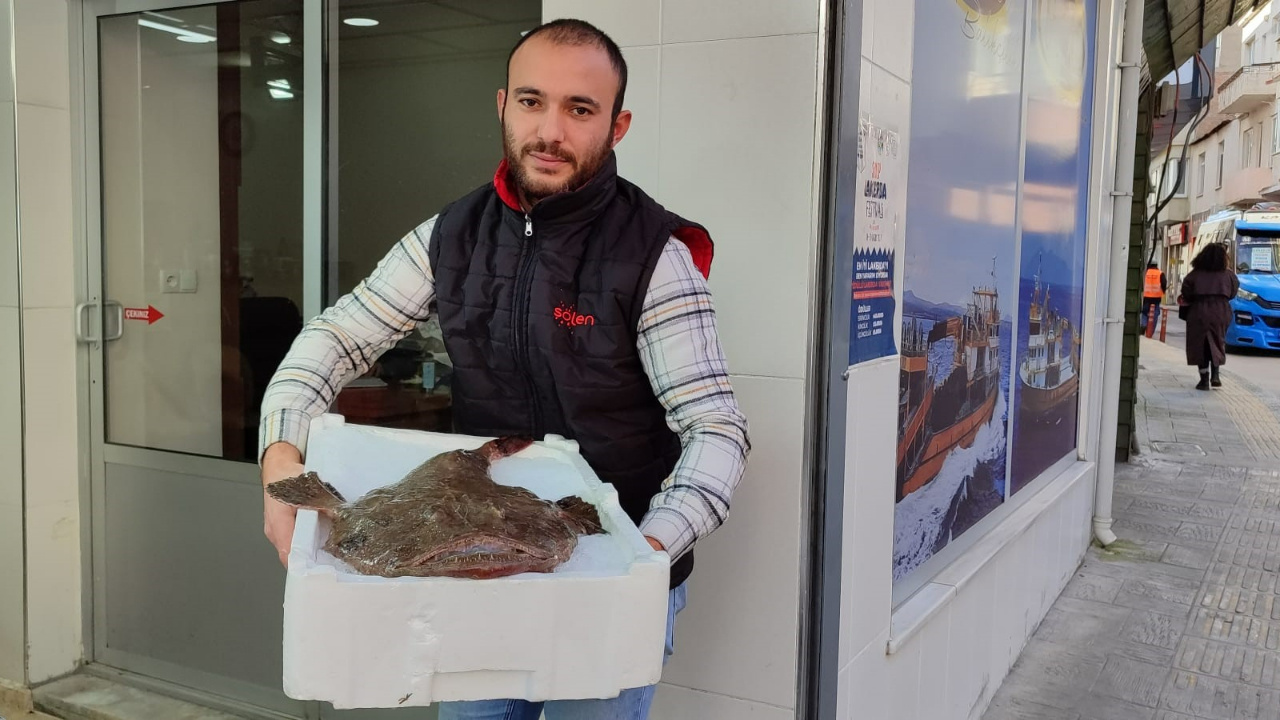 Türkiye’de Avlanmayan Balık Ağlara Takıldı, İlk Kez Görenler Şaşırdı